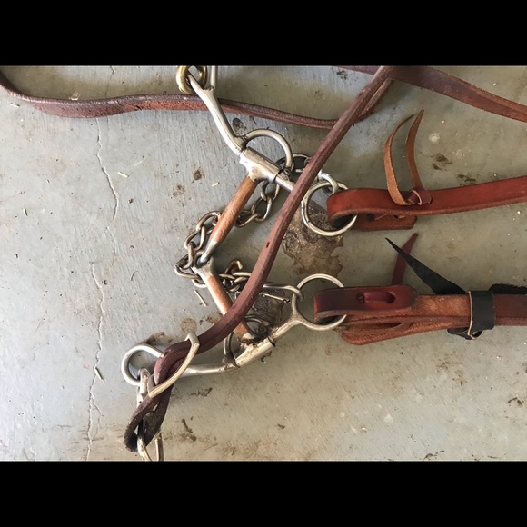 Basic wester headstall - Picture 2 of 2